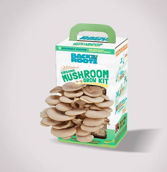 Custom Mushroom Packaging