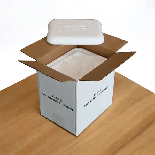 Dry Ice Shipping Boxes