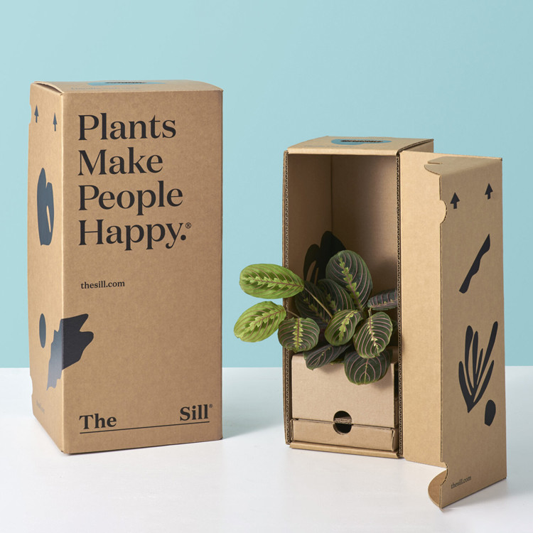 custom corrugated cardboard plant shipping box