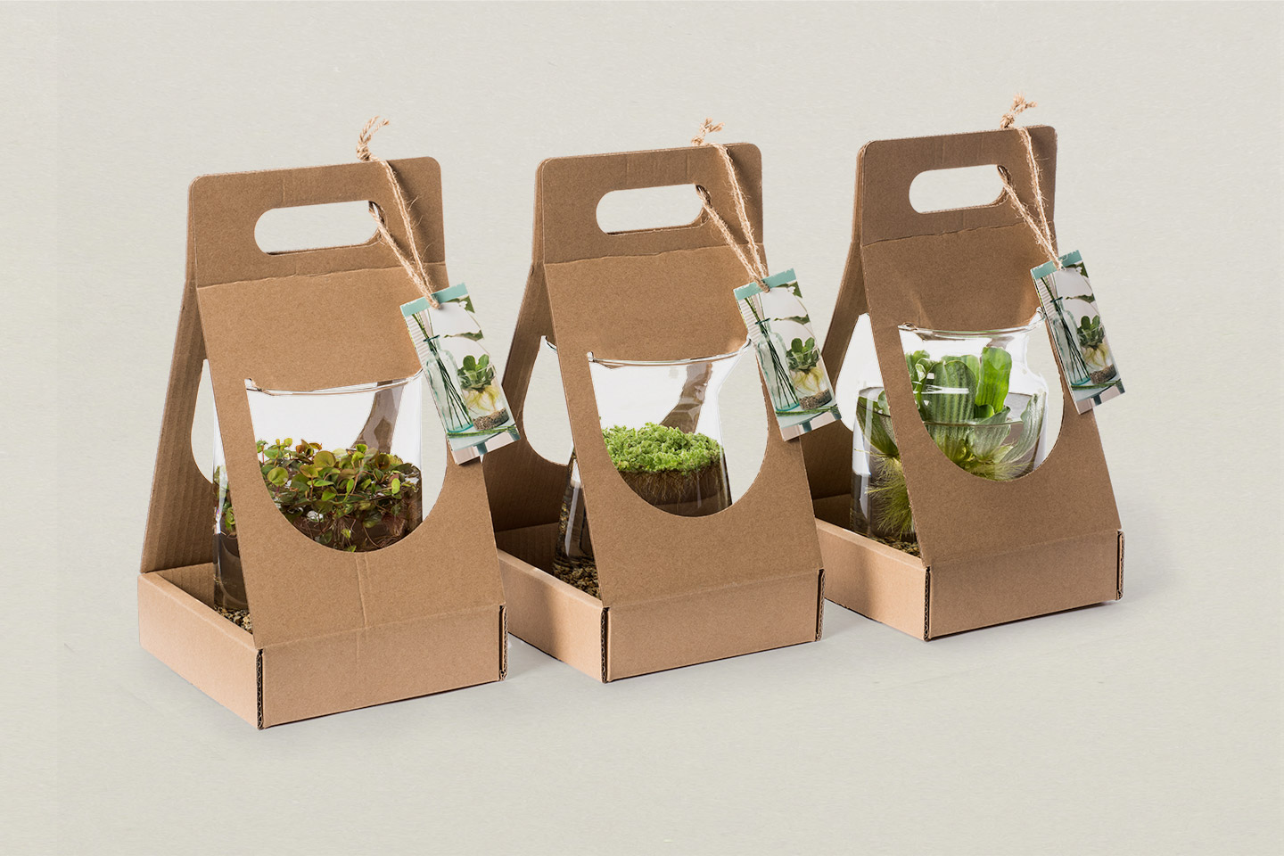 floramedia plant verpakking